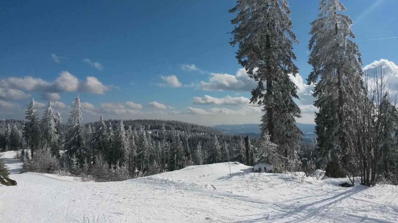 Ferienpension Fremuth Ruhmannsfelden Екстериор снимка